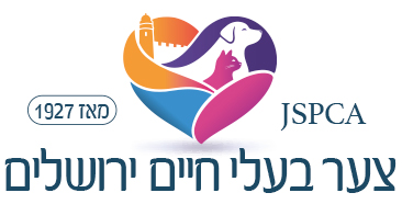 צער בעלי חיים ירושלים