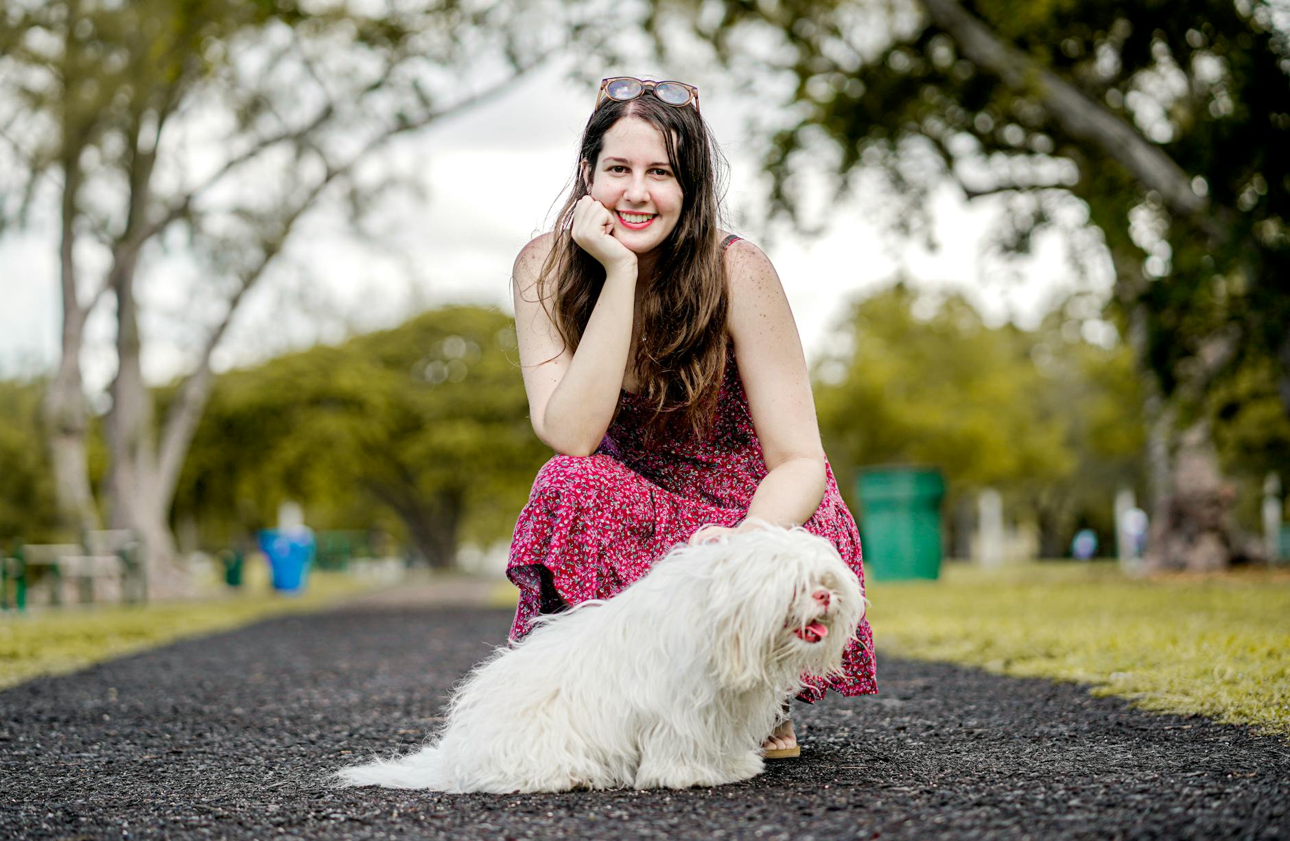 קוטון דה טוליאר