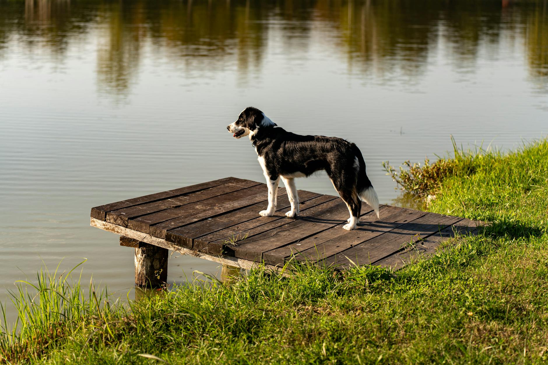 טריאינג ווקר קונהאונד