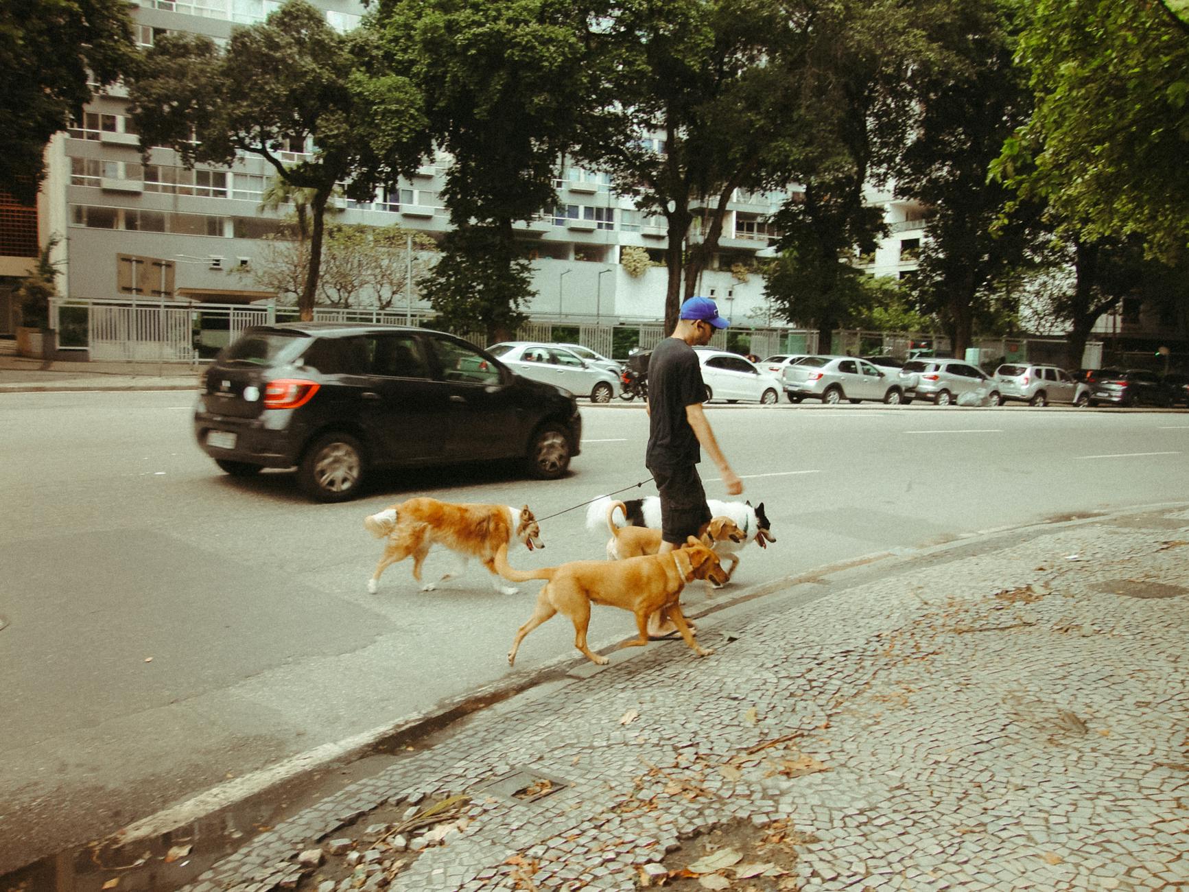 טריאינג ווקר קונהאונד