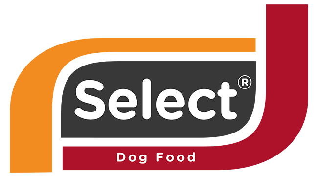 Select