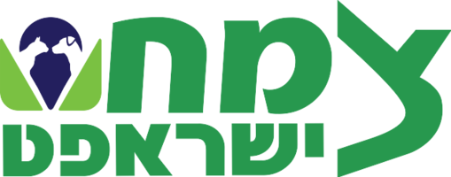 צמח צמח