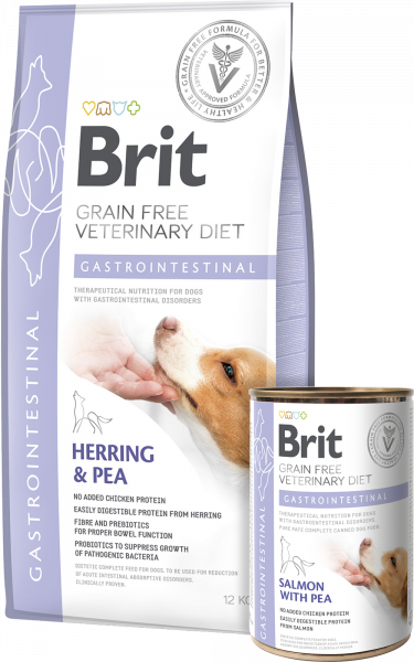 בריט Gastrointestinal - מזון יבש לחתולים
