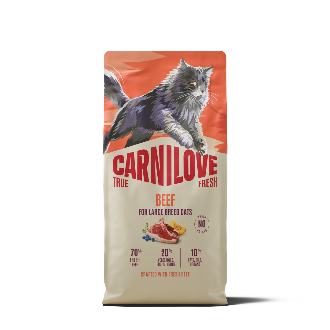 קרנילאב True Fresh Beef Dry food for Large Adult Cats - מזון יבש לחתולים