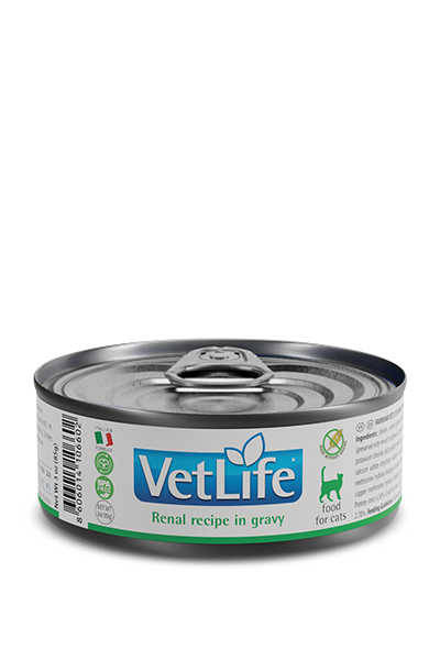 פרמינה וט לייף Renal Wet Food Feline - מזון יבש לחתולים
