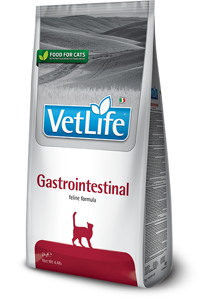 פרמינה וט לייף Gastrointestinal - מזון יבש לחתולים