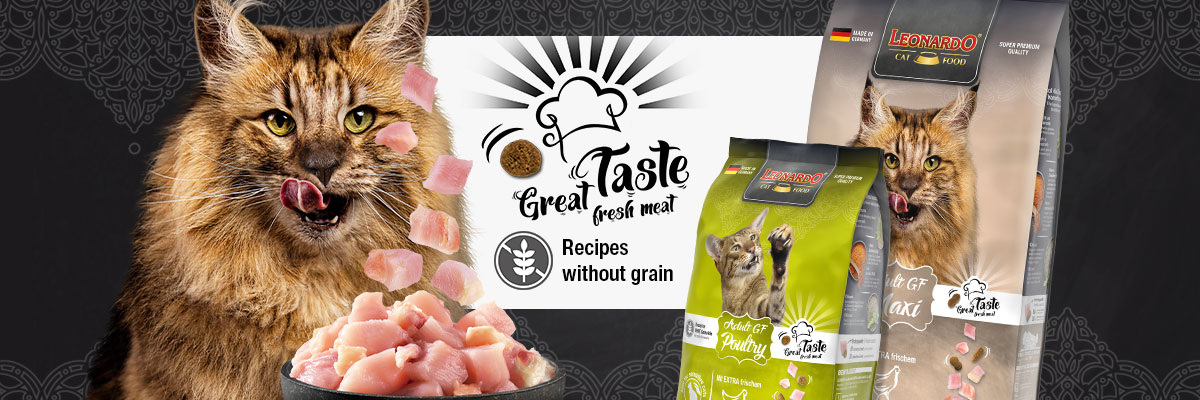לאונרדו Recipes Without Grain - מזון יבש לחתולים