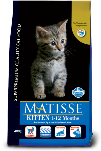 מאטיס Kitten 1-12 Months - מזון יבש לחתולים