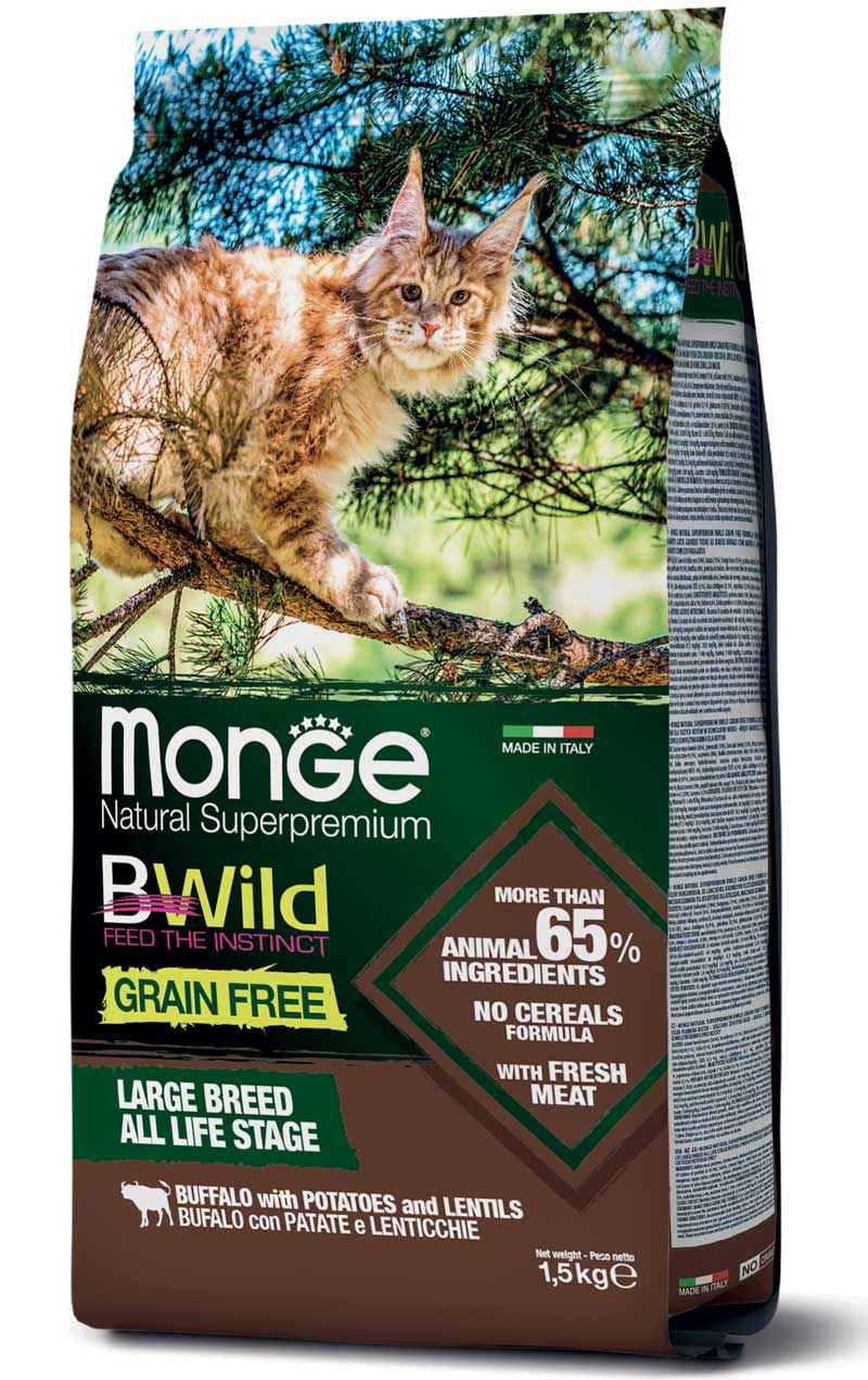 מונג' BWild Grain Free Formula Large Breed All Life Stage Buffalo with Potatoes and Lentils - מזון יבש לחתולים