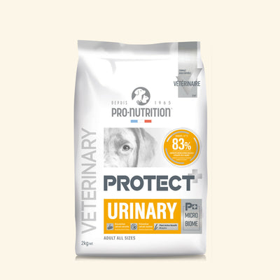 נייצ'רס פרוטקשן Protect Urinary - מזון יבש לחתולים
