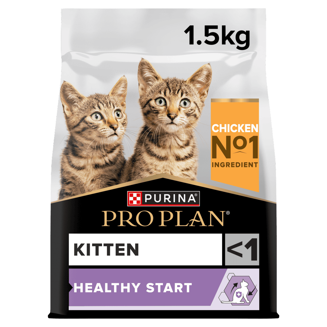 פרו פלאן Kitten Healthy Start Chicken - מזון יבש לחתולים