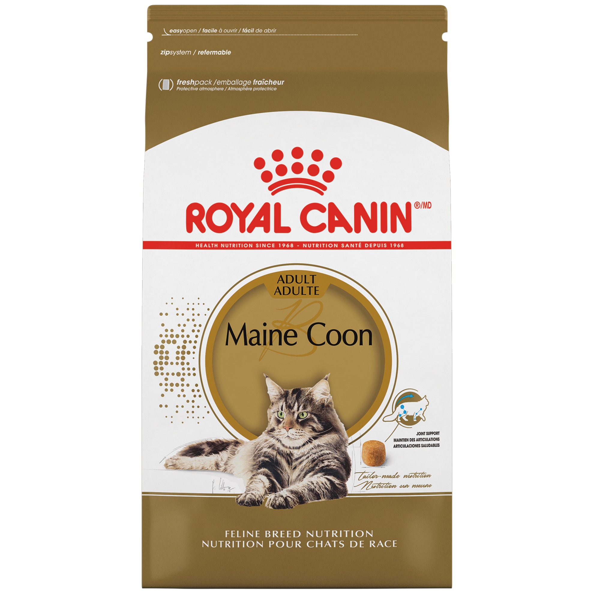 רויאל קנין Maine Coon Adult Dry Cat Food - מזון יבש לחתולים