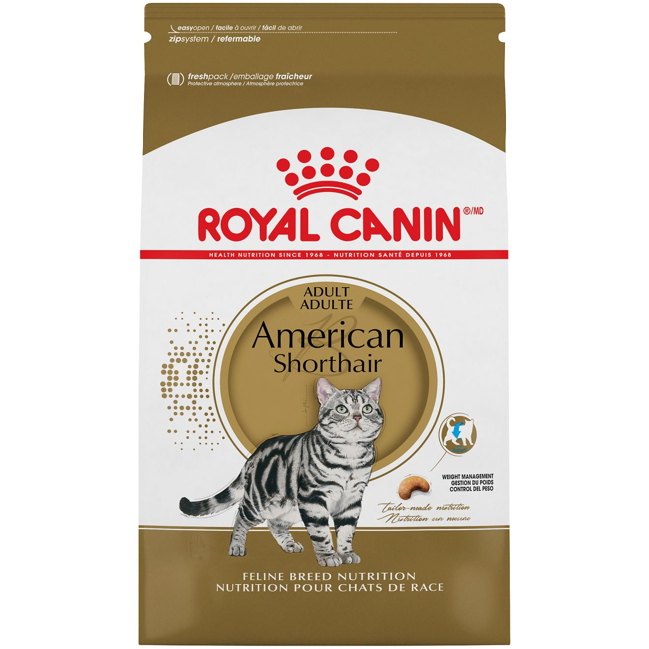 רויאל קנין American Shorthair Adult - מזון יבש לחתולים