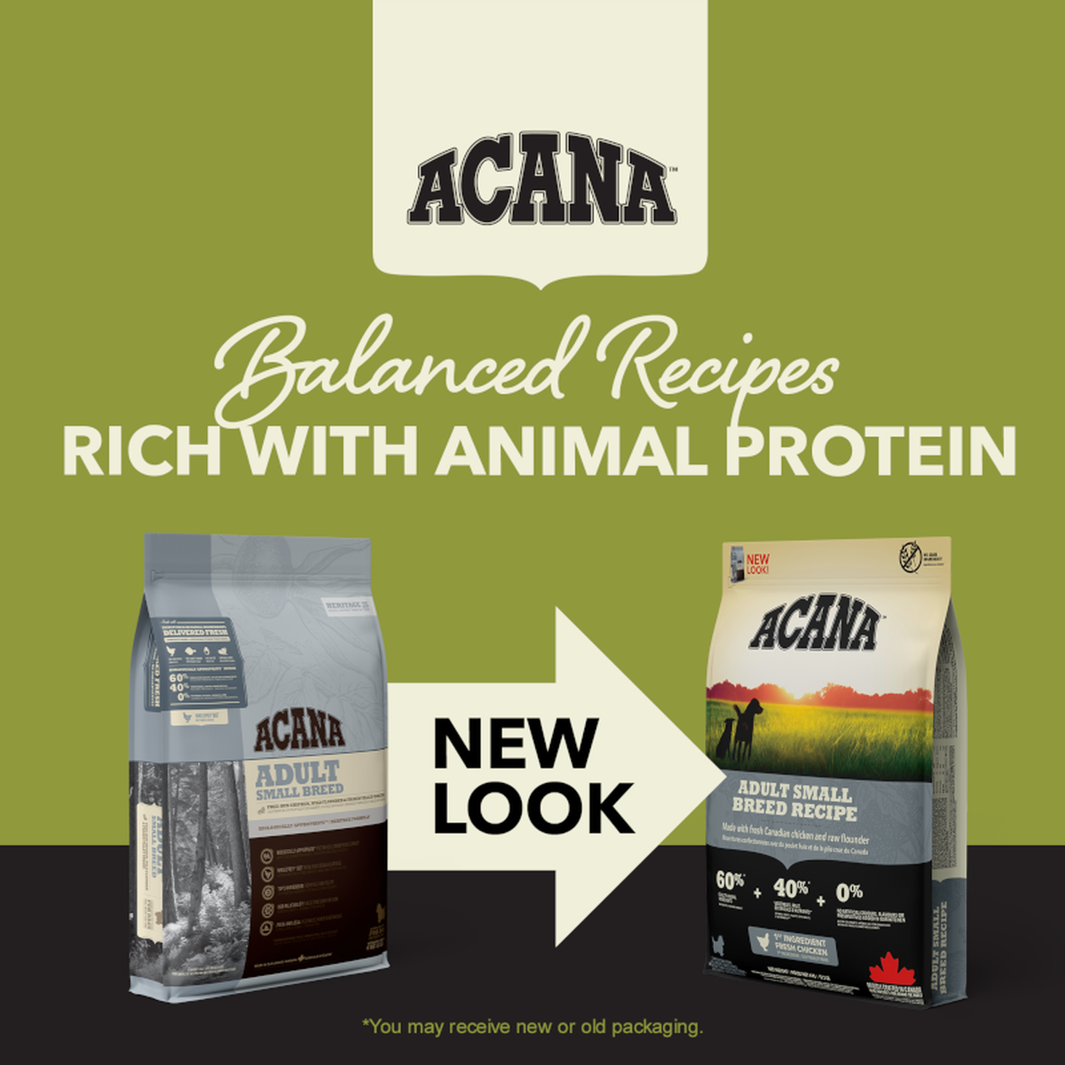 אקאנה Adult Small Breed Recipe - מזון יבש לכלבים