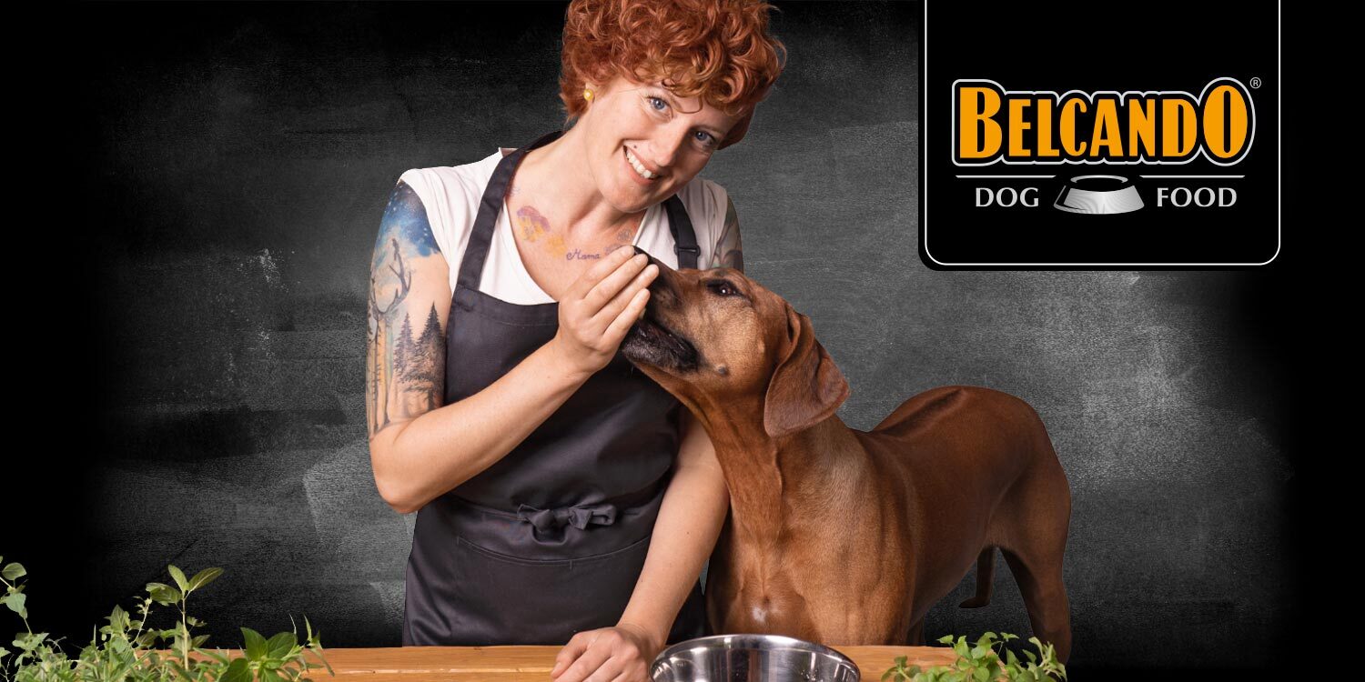 בלקנדו No-grain Formulas - מזון יבש לכלבים