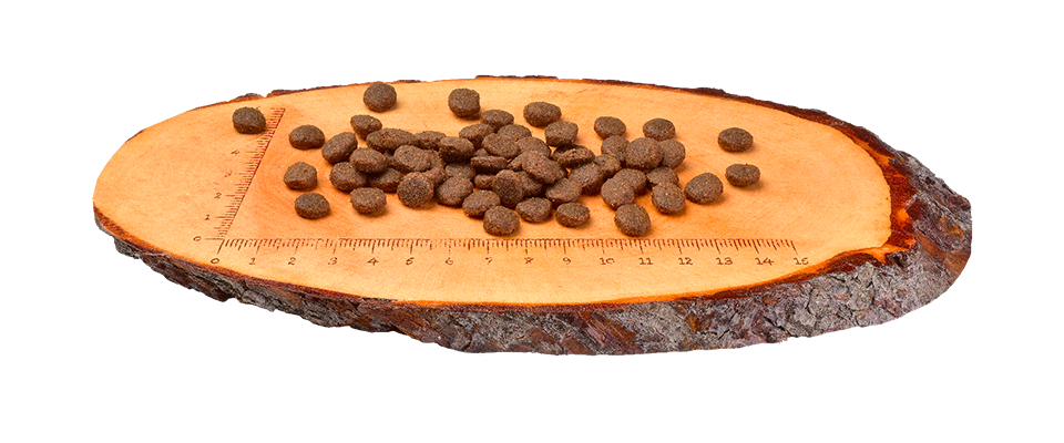 קרנילאב Salmon & Turkey - מזון יבש לכלבים