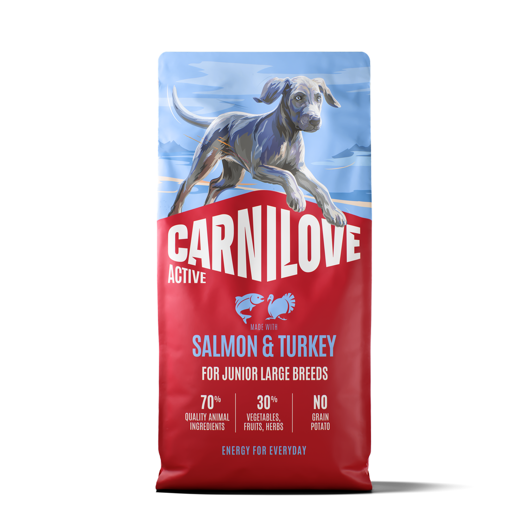 קרנילאב Active Salmon & Turkey for Junior Large Dogs - מזון יבש לכלבים