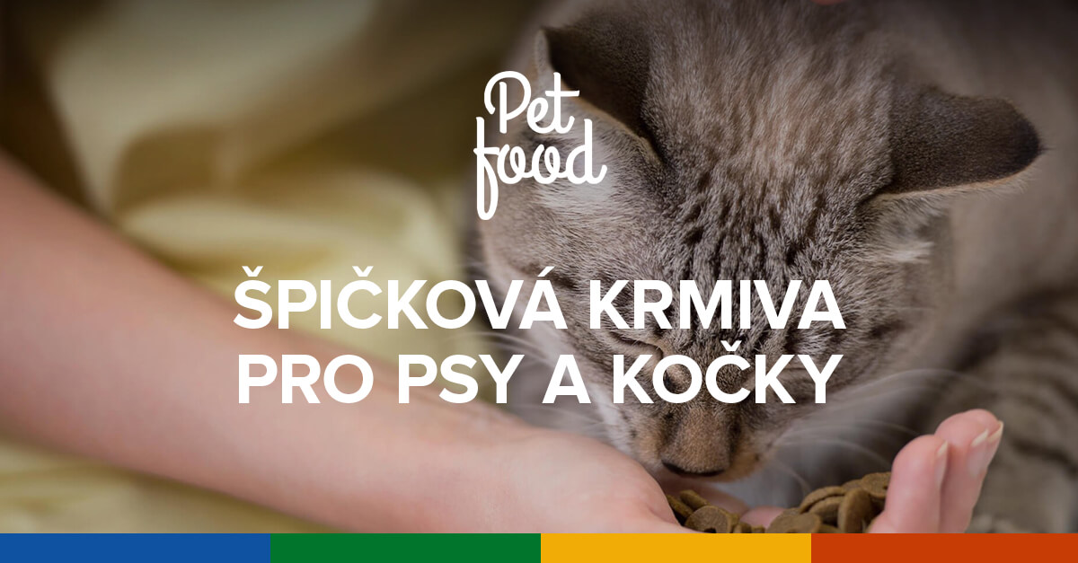 אמיננט Puppy Large Breed 28/14 - מזון יבש לכלבים