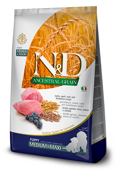 נטורל אנד דלישס Ancestral Grain Canine Lamb & Blueberry Puppy medium & maxi - מזון יבש לכלבים