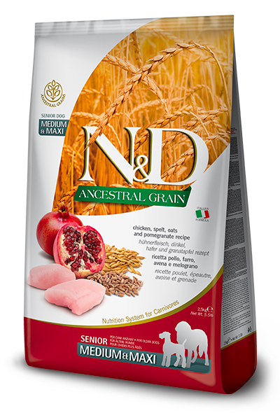 נטורל אנד דלישס Ancestral Grain Chicken & Pomegranate Senior Medium & Maxi - מזון יבש לכלבים