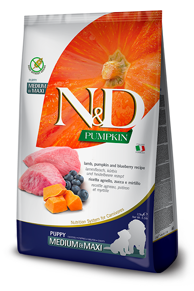 נטורל אנד דלישס Pumpkin Grain-Free Canine Lamb & Blueberry Puppy Medium & Maxi - מזון יבש לכלבים