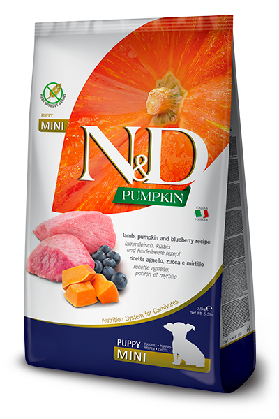 נטורל אנד דלישס Pumpkin Grain-Free Lamb & Blueberry Puppy Mini - מזון יבש לכלבים