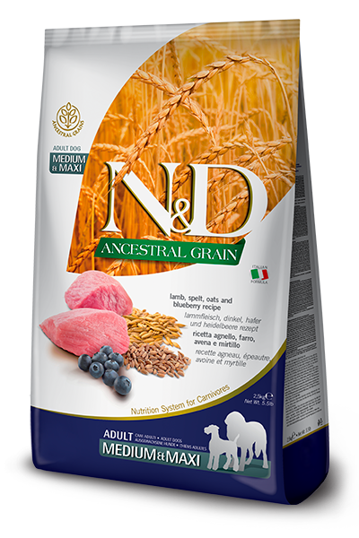 נטורל אנד דלישס Ancestral Grain Canine Lamb & Blueberry Adult medium & maxi - מזון יבש לכלבים