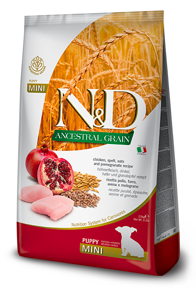 נטורל אנד דלישס Ancestral Grain Canine Chicken & Pomegranate Puppy Mini - מזון יבש לכלבים