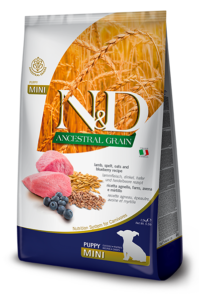 נטורל אנד דלישס Ancestral Grain Canine Lamb & Blueberry Puppy mini - מזון יבש לכלבים