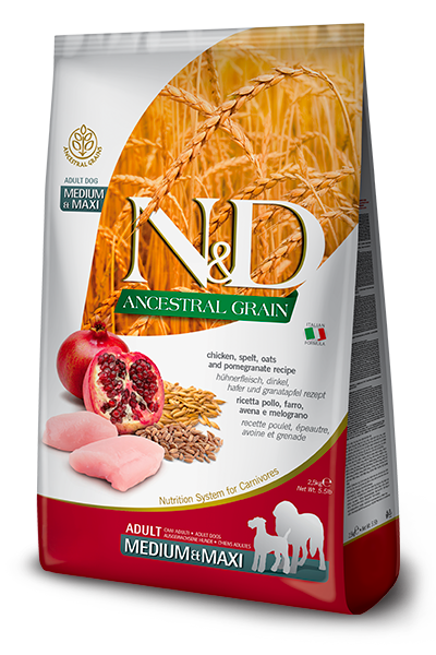 נטורל אנד דלישס Ancestral Grain Chicken & Pomegranate Adult Medium & Maxi - מזון יבש לכלבים