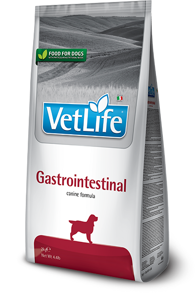 פרמינה וט לייף Gastrointestinal - מזון יבש לכלבים
