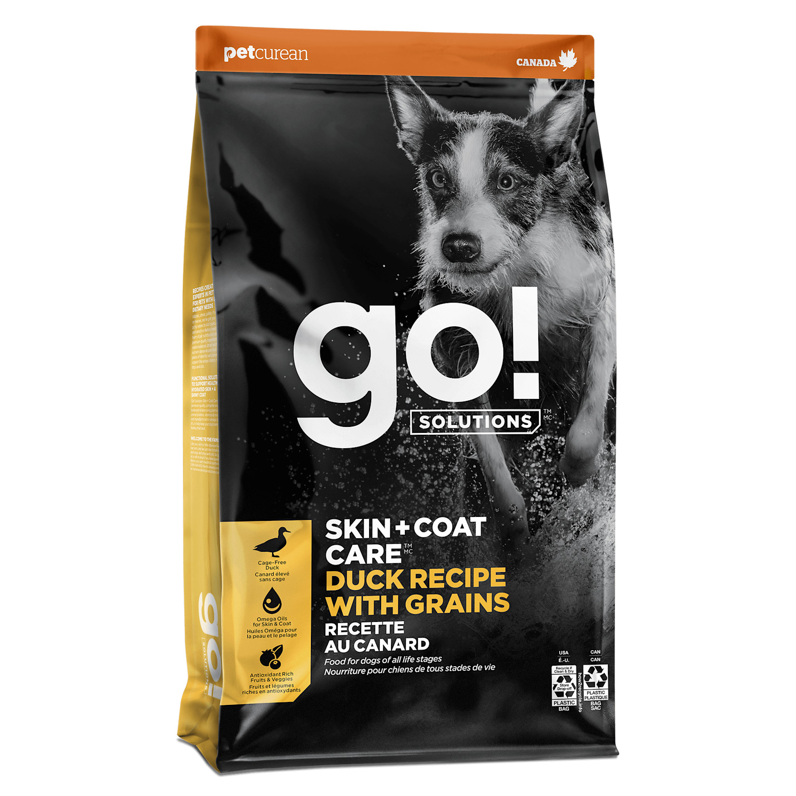 גו Skin + Coat Care Duck Recipe with Grains - מזון יבש לכלבים