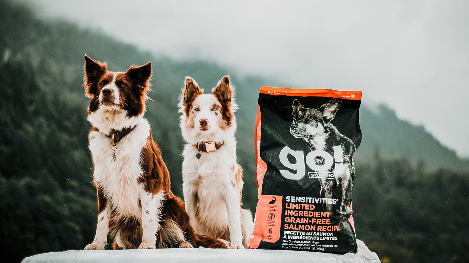 גו Sensitivities Limited Ingredient - מזון יבש לכלבים