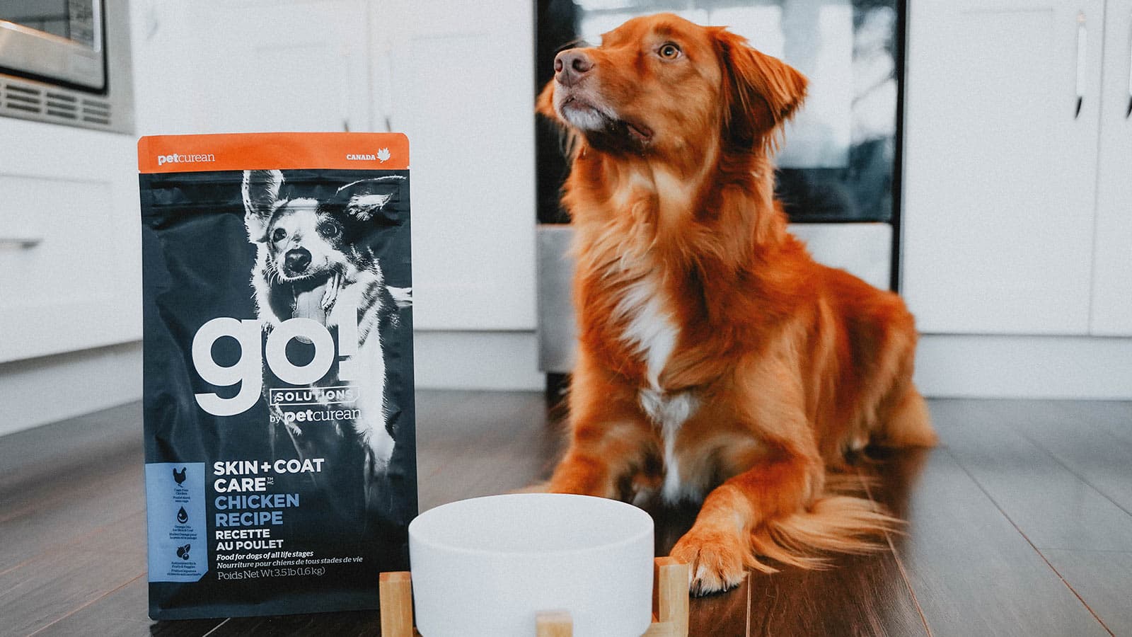 גו Skin + Coat Care - מזון יבש לכלבים