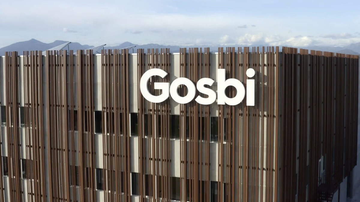 גוסבי Comida para perros - מזון יבש לכלבים