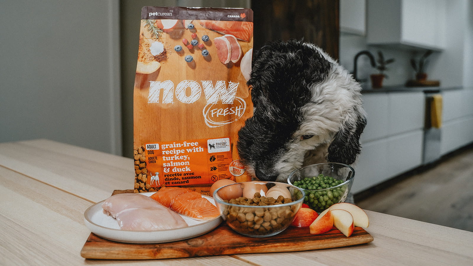 נאו פרש Adult Dog Food Made with Premium Ingredients - מזון יבש לכלבים