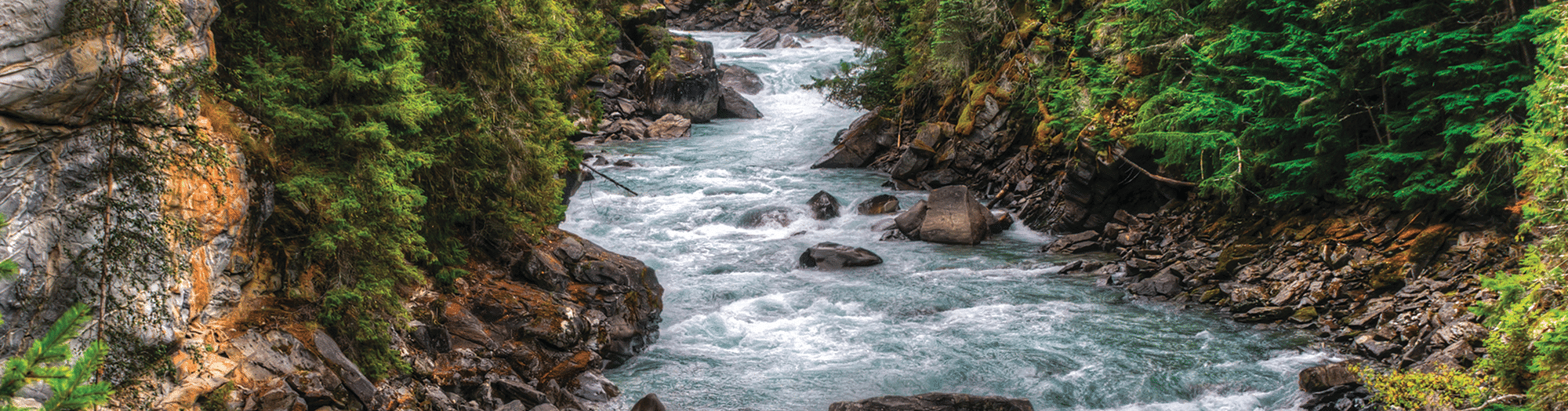 נוטריאנס SubZero Fraser Valley High Protein - מזון יבש לכלבים