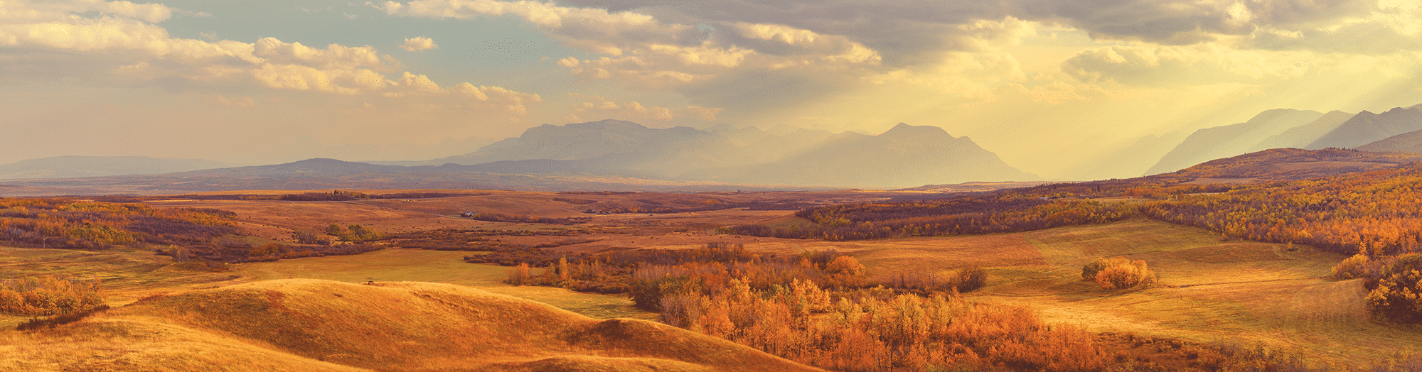 נוטריאנס SubZero Prairie Red High Protein - מזון יבש לכלבים