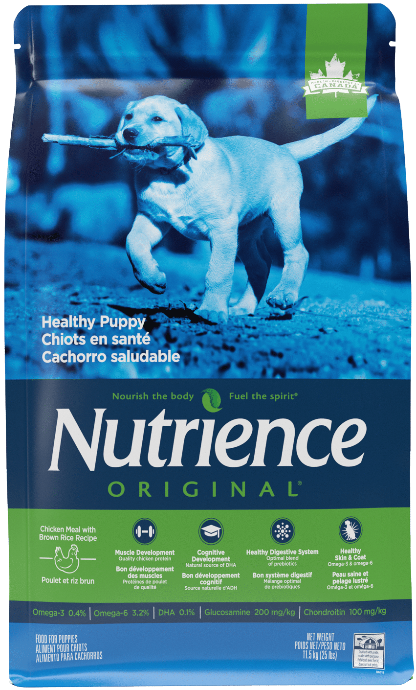 נוטריאנס Healthy Puppy Food with Chicken & Brown Rice - מזון יבש לכלבים