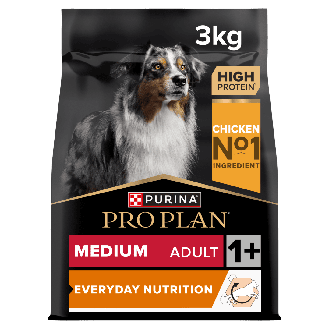 פרו פלאן Medium Everyday Nutrition Chicken - מזון יבש לכלבים