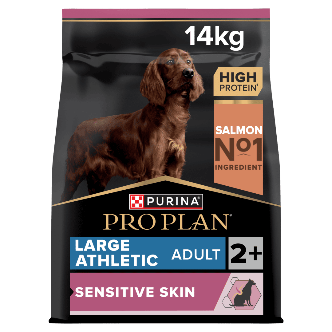 פרו פלאן Large Athletic Sensitive Skin Salmon - מזון יבש לכלבים