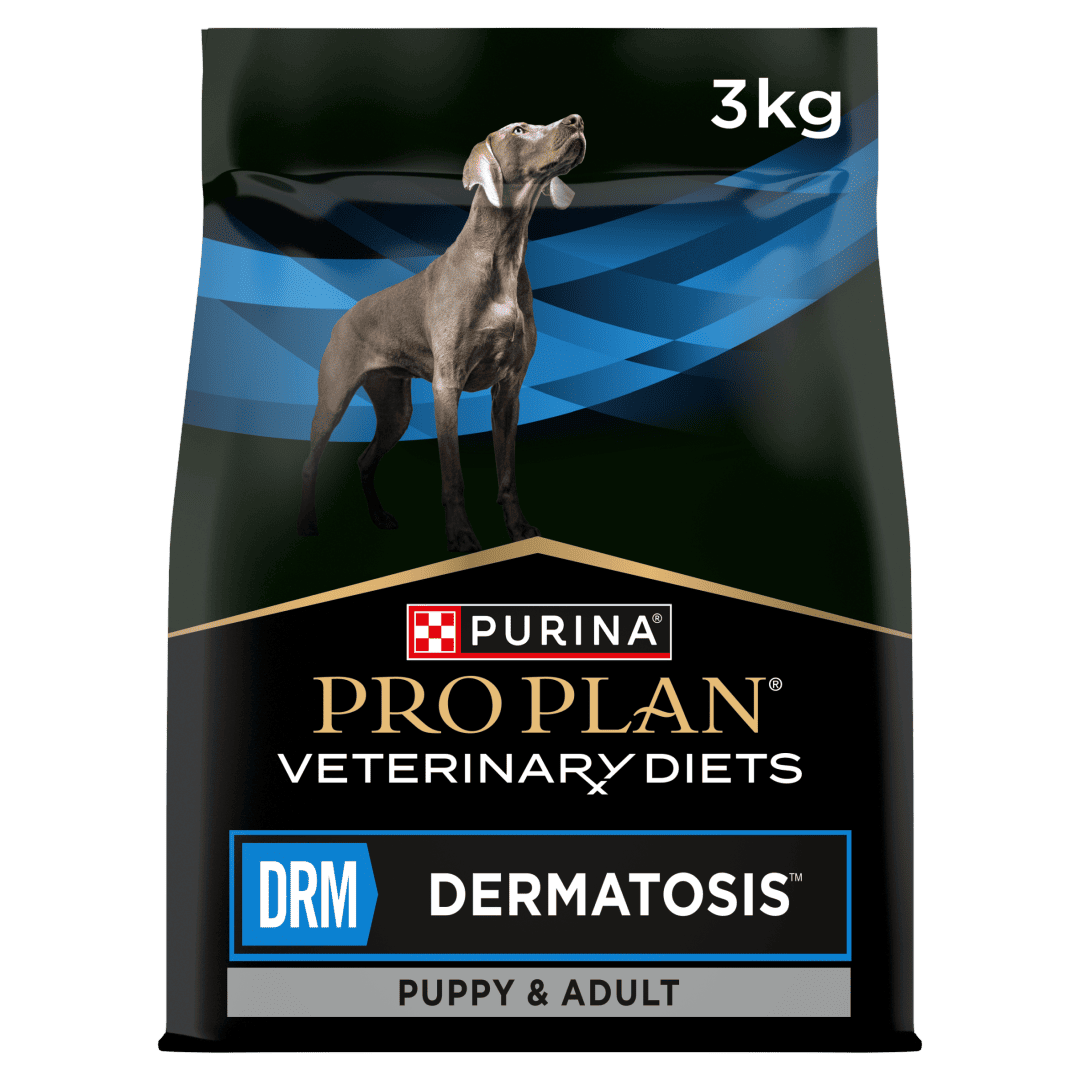פורינה DRM Dermatosis - מזון יבש לכלבים