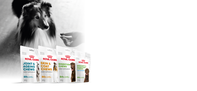 רויאל קנין Medium Starter Mother Babydog - מזון יבש לכלבים