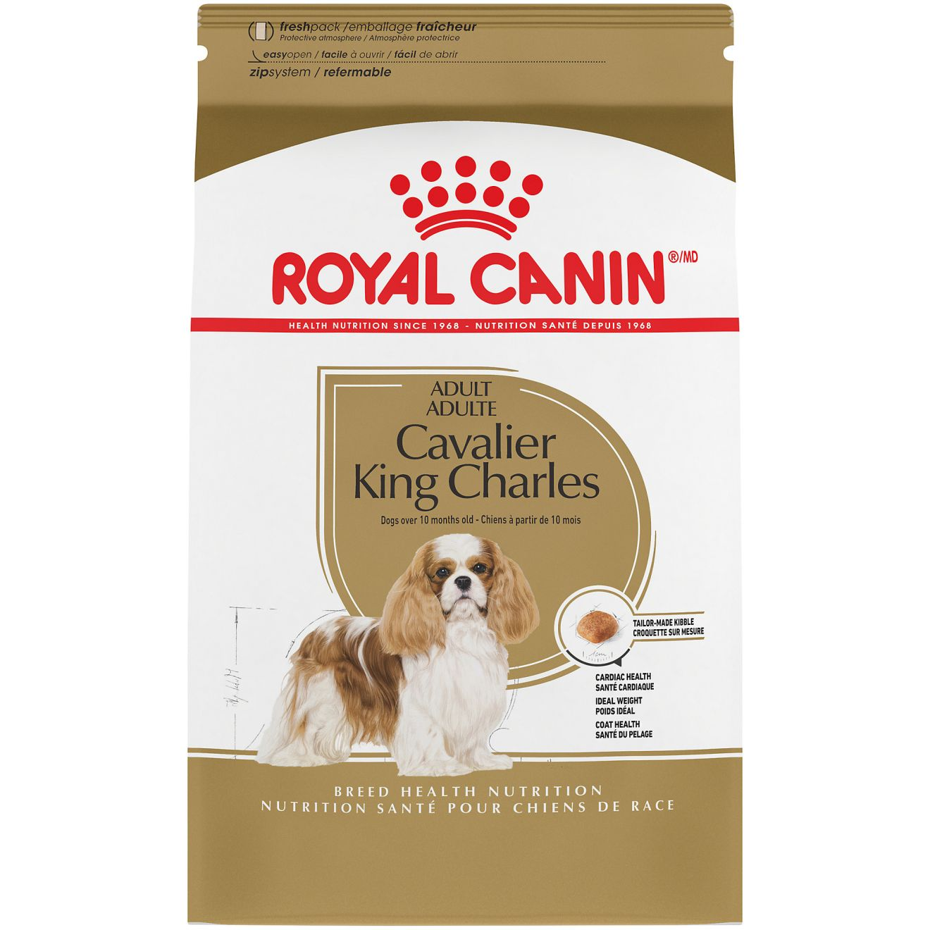 רויאל קנין Cavalier King Charles Adult - מזון יבש לכלבים