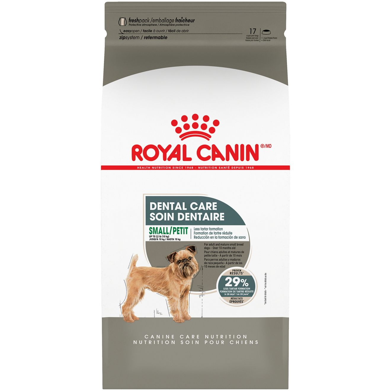 רויאל קנין Small Dental Care Dry Dog Food - מזון יבש לכלבים