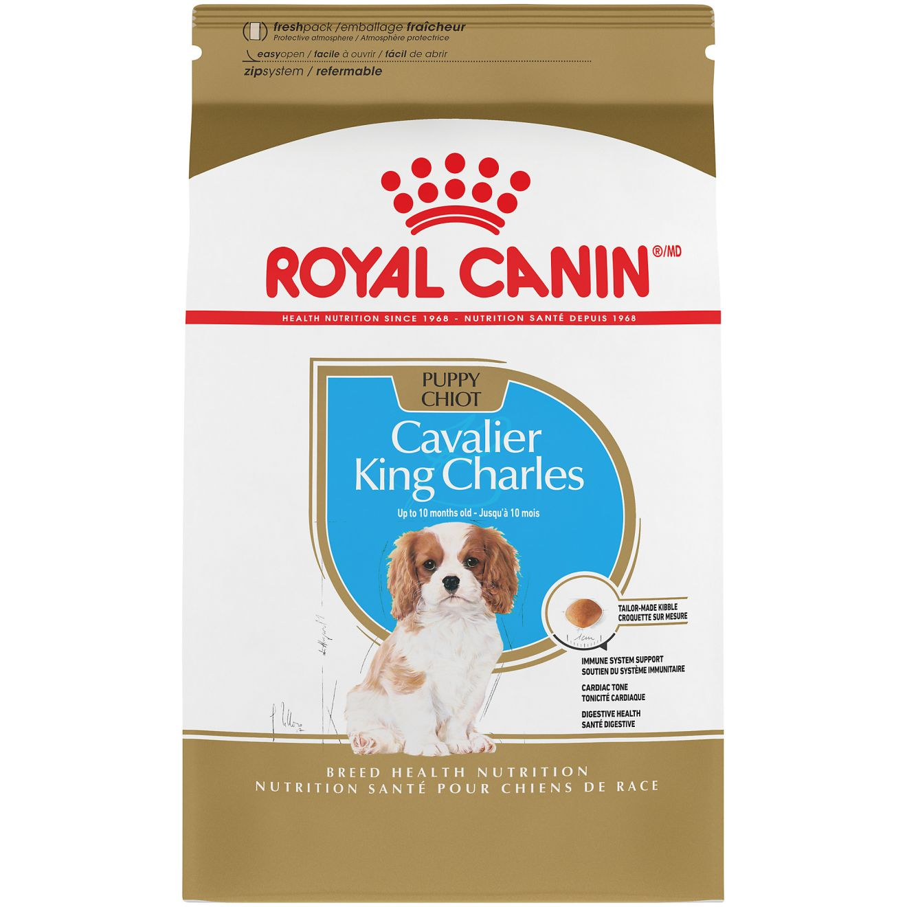רויאל קנין Cavalier King Charles Puppy Dry Dog Food - מזון יבש לכלבים