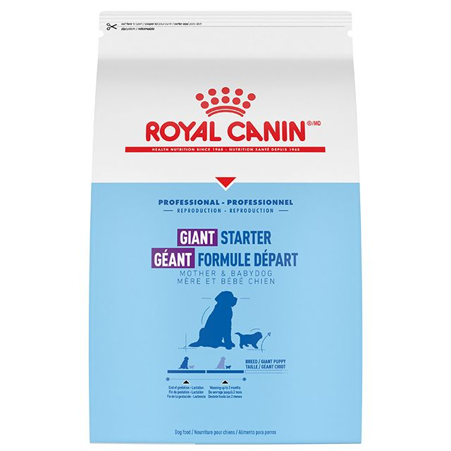 רויאל קנין Professional Giant Starter Mother And Babydog - מזון יבש לכלבים
