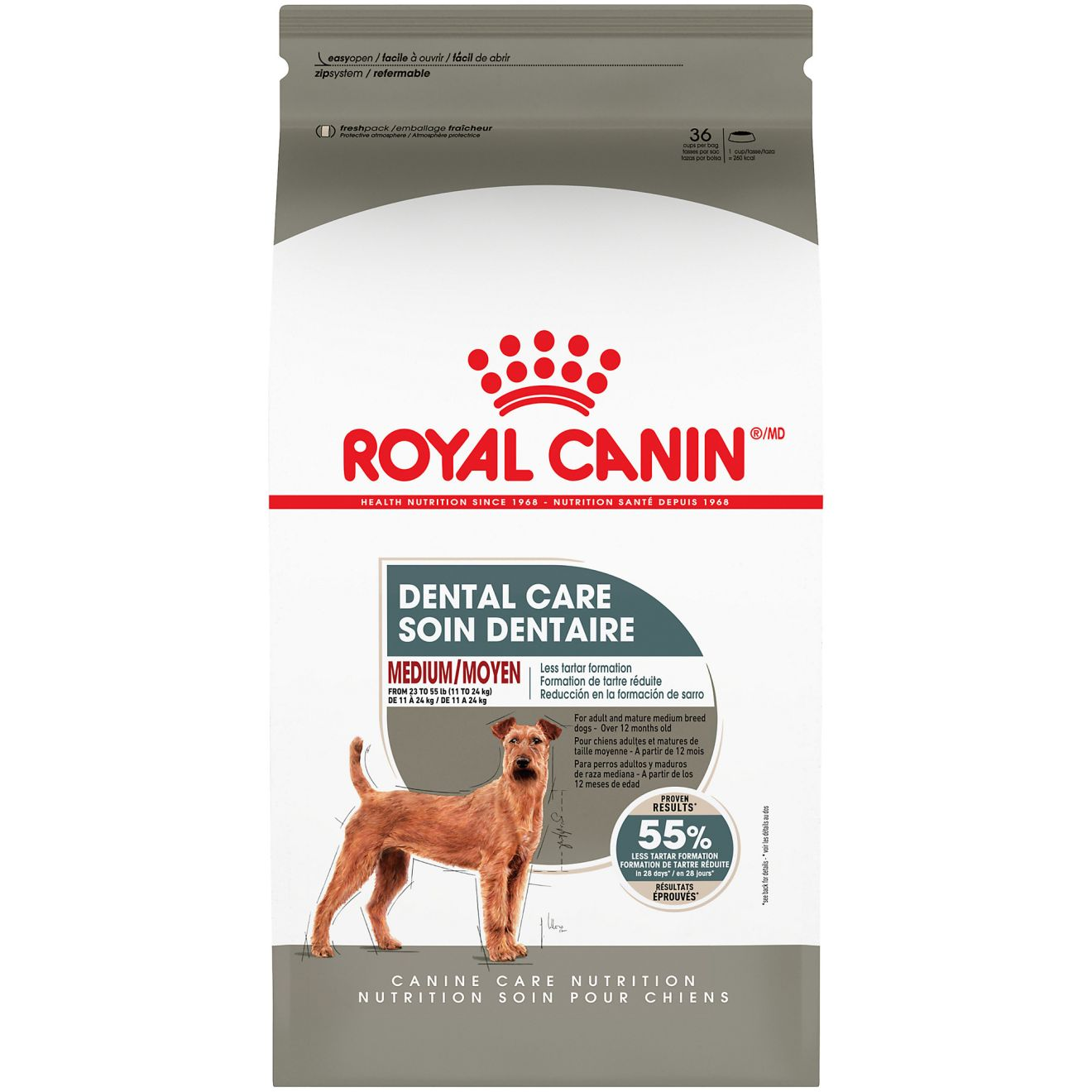 רויאל קנין Medium Dental Care Dry Dog Food - מזון יבש לכלבים